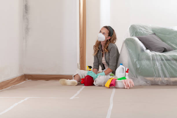 Reliable Basement Mold Removal contractor in Newport News, VA by WQB Mold Removal